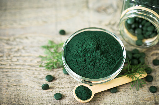 La storia della Spirulina, dalla notte dei tempi fino ai giorni nostri