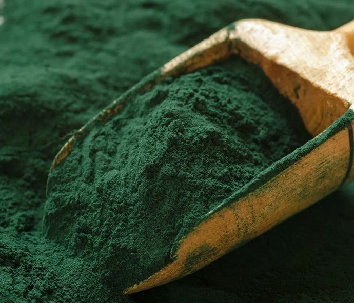 Come, quando e perché assumere Spirulina in polvere?